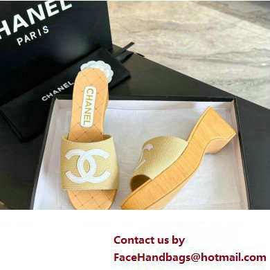 Chanel Fabric  &  Patent Calfskin Mules G45555 Beige 2024